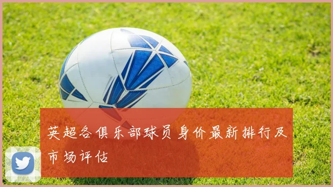 英超各俱乐部球员身价最新排行及市场评估