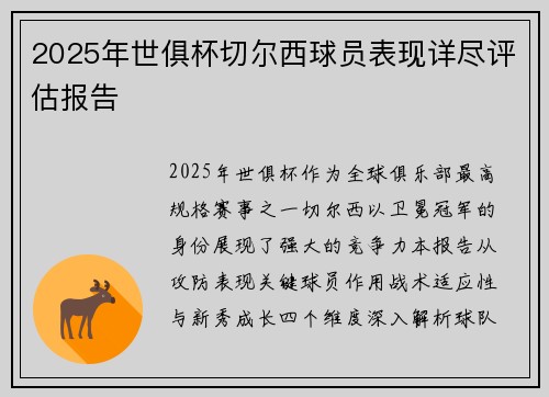 2025年世俱杯切尔西球员表现详尽评估报告