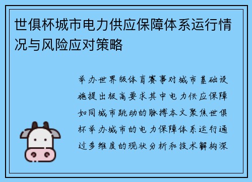 世俱杯城市电力供应保障体系运行情况与风险应对策略